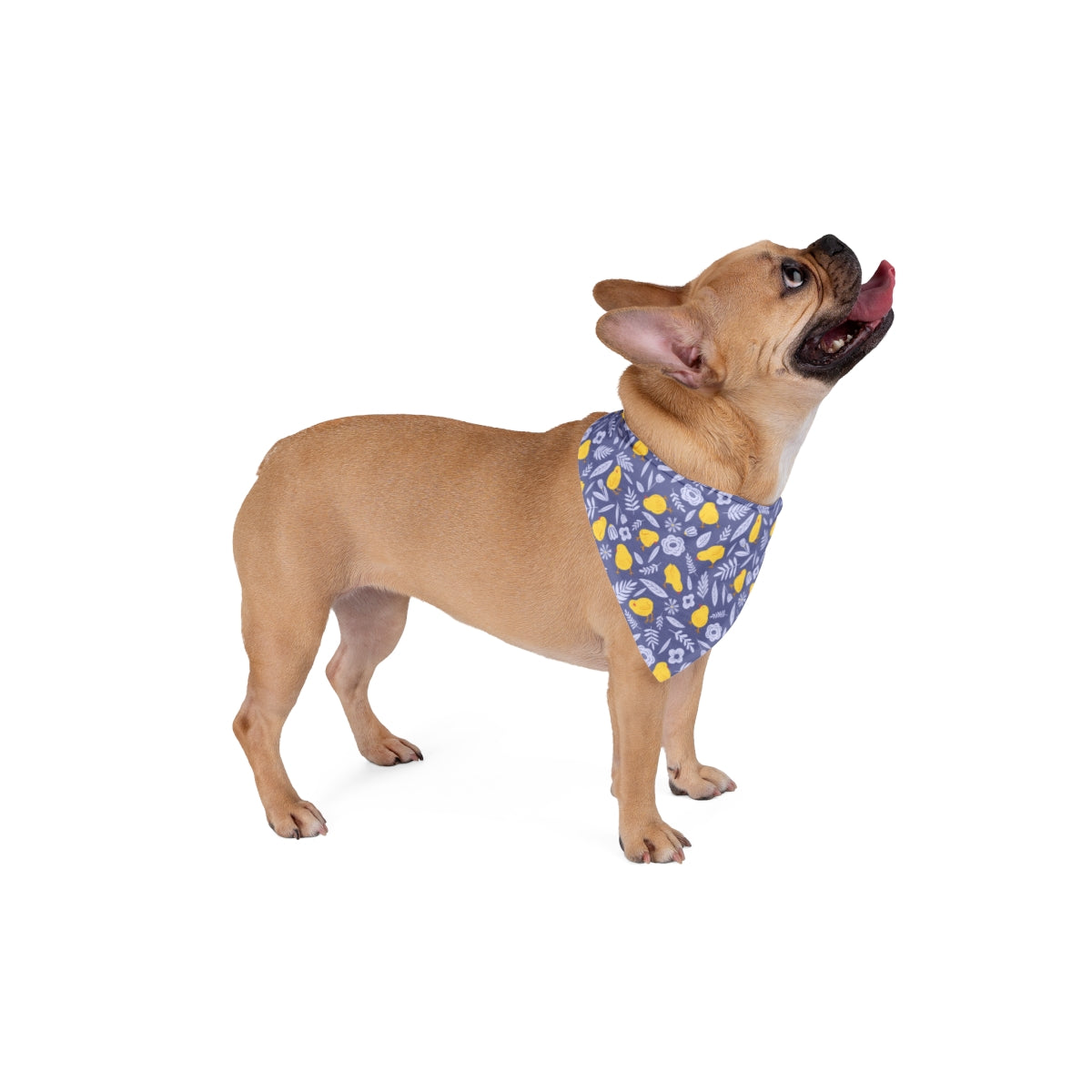 Easter Dog Bandana Collection