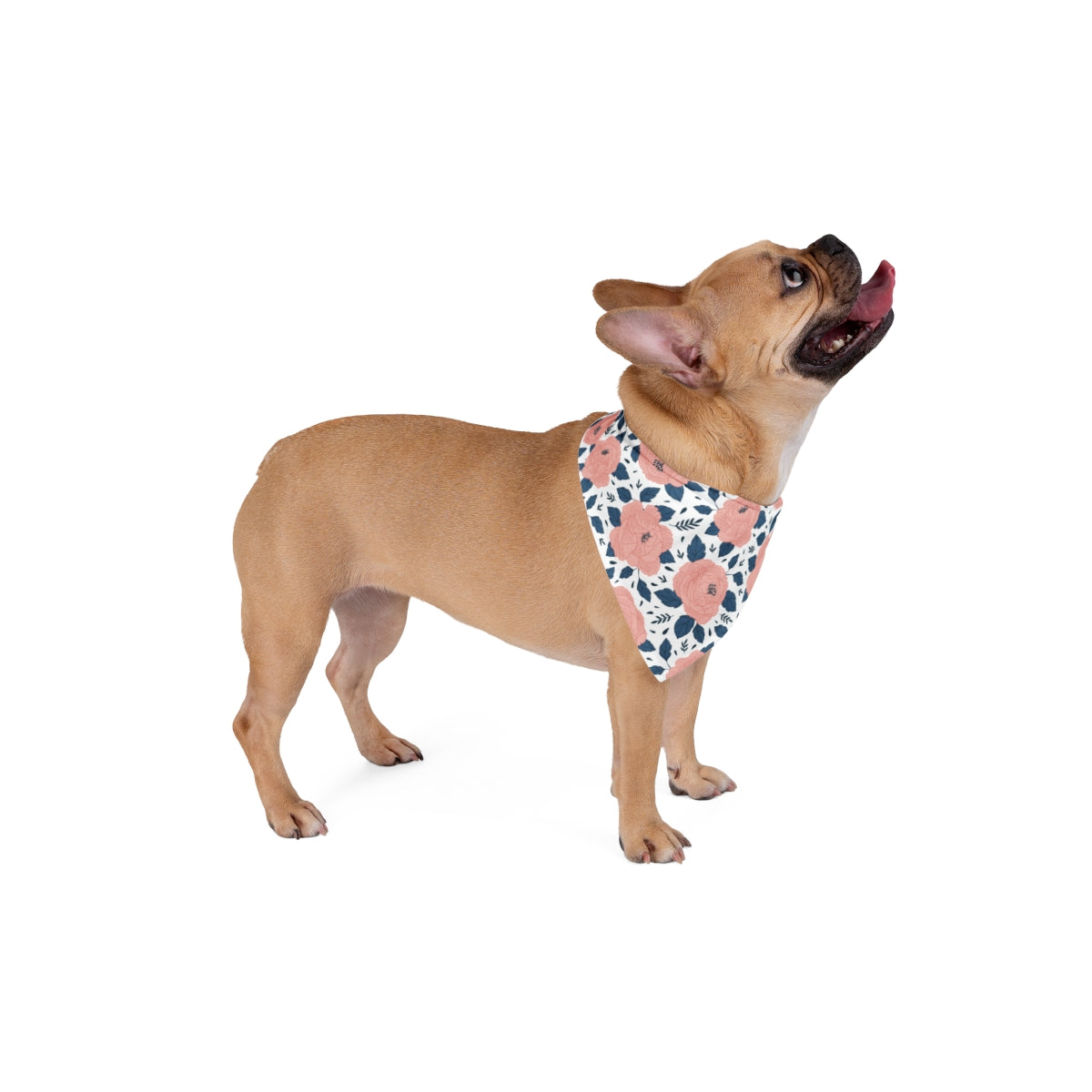 Floral Dog Bandana Collection