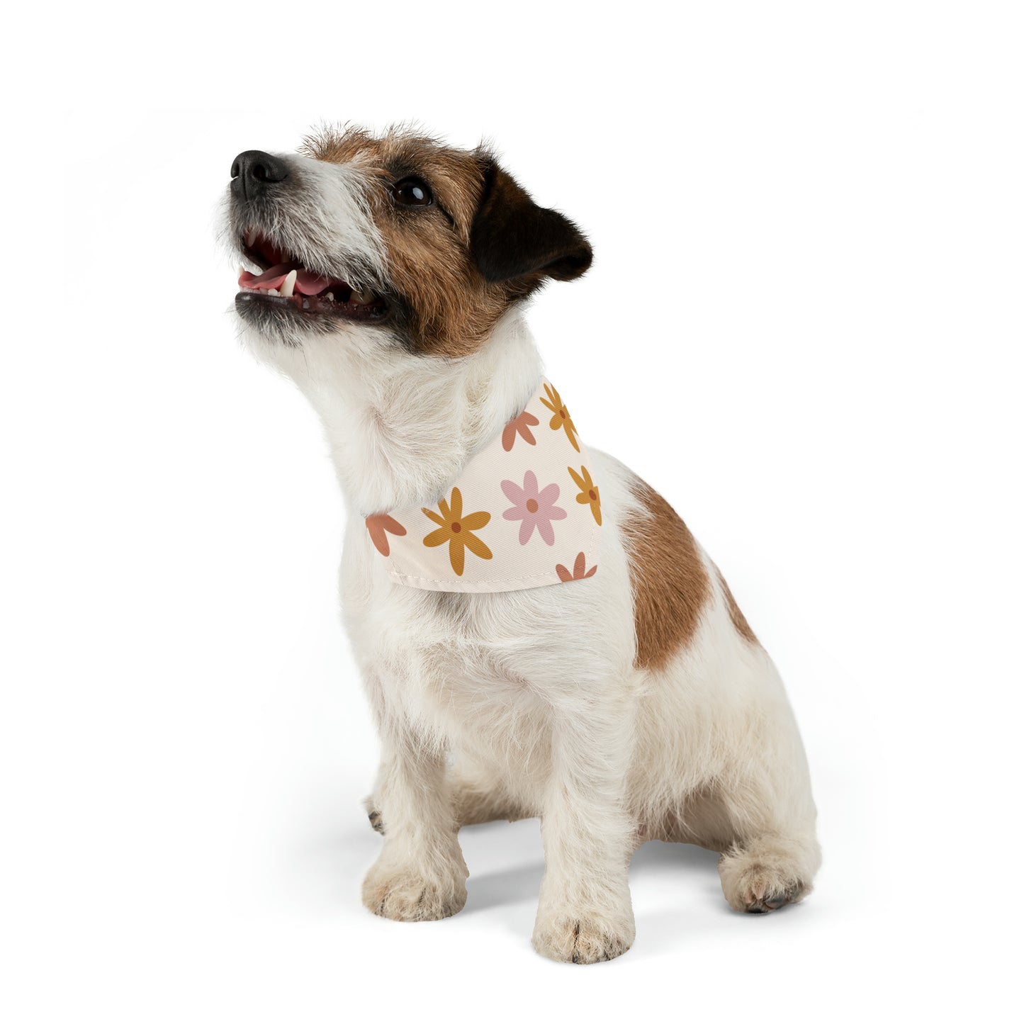 Retro Flower - Pet Bandana Collar