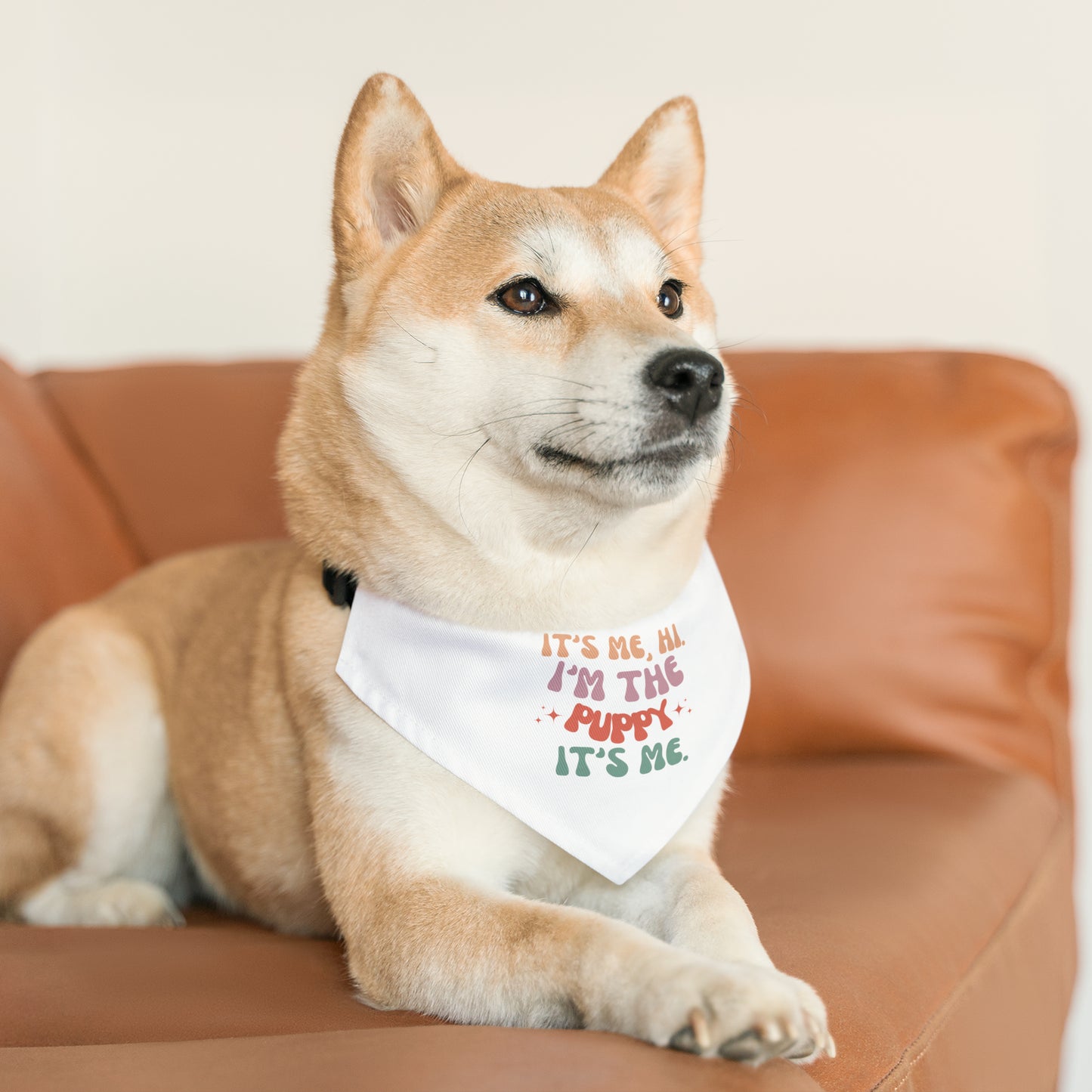 It's Me, Hi. I'm the Puppy, it's Me - Pet Bandana Collar