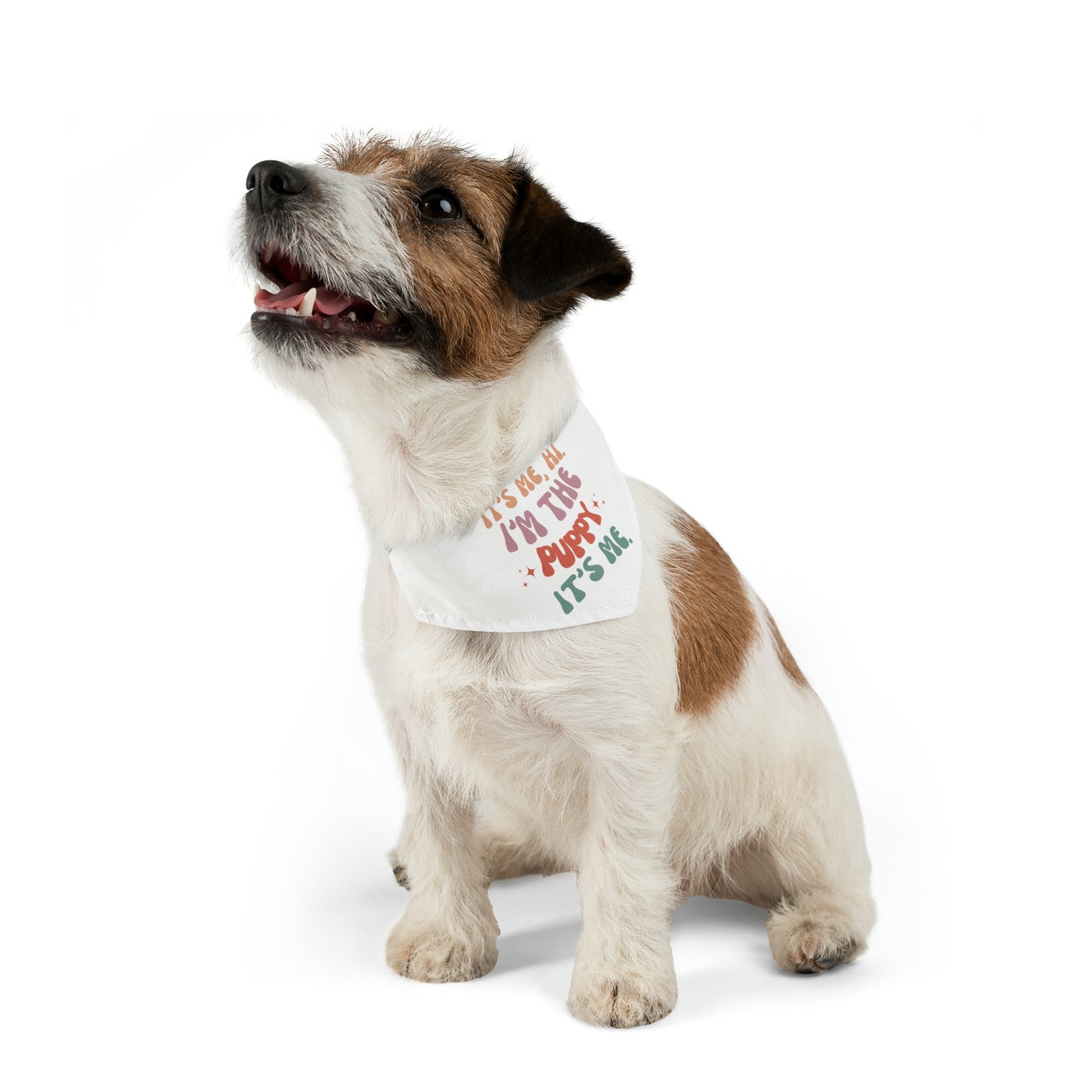 It's Me, Hi. I'm the Puppy, it's Me - Pet Bandana Collar