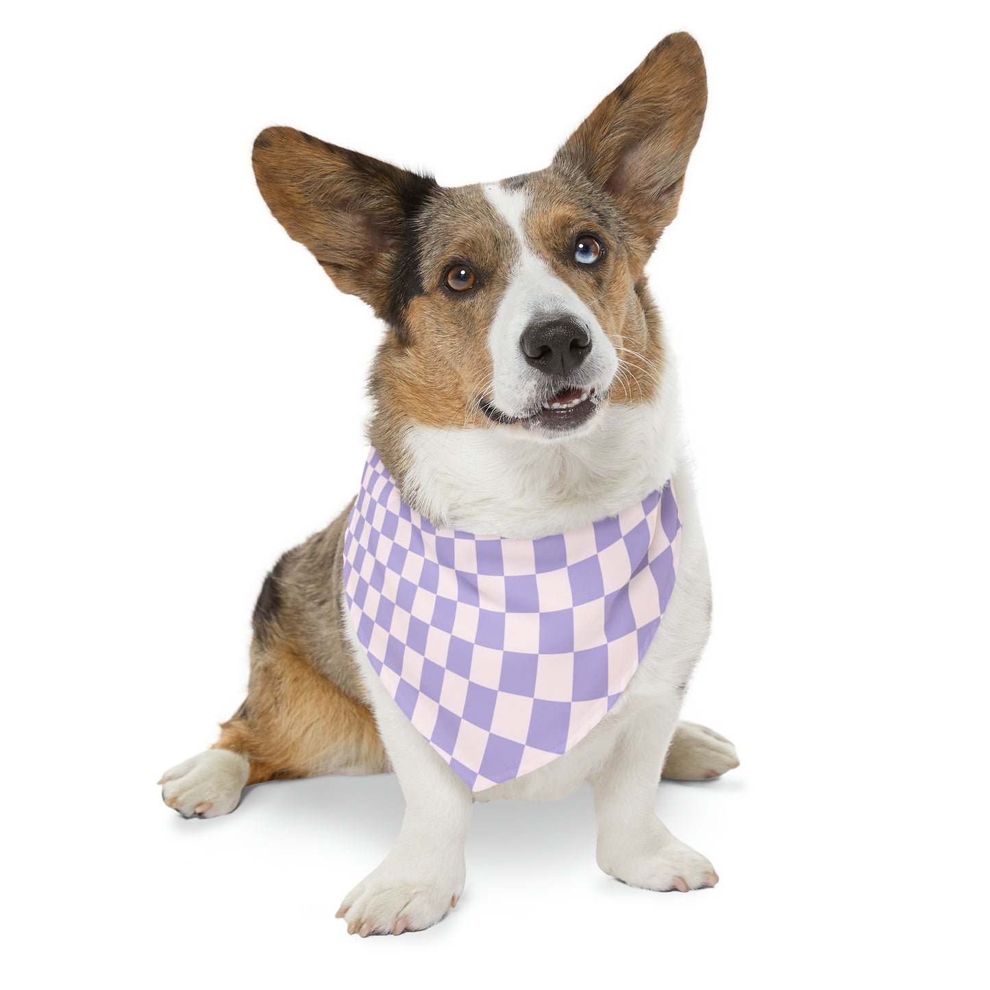 Purple Haze - Pet Bandana Collar