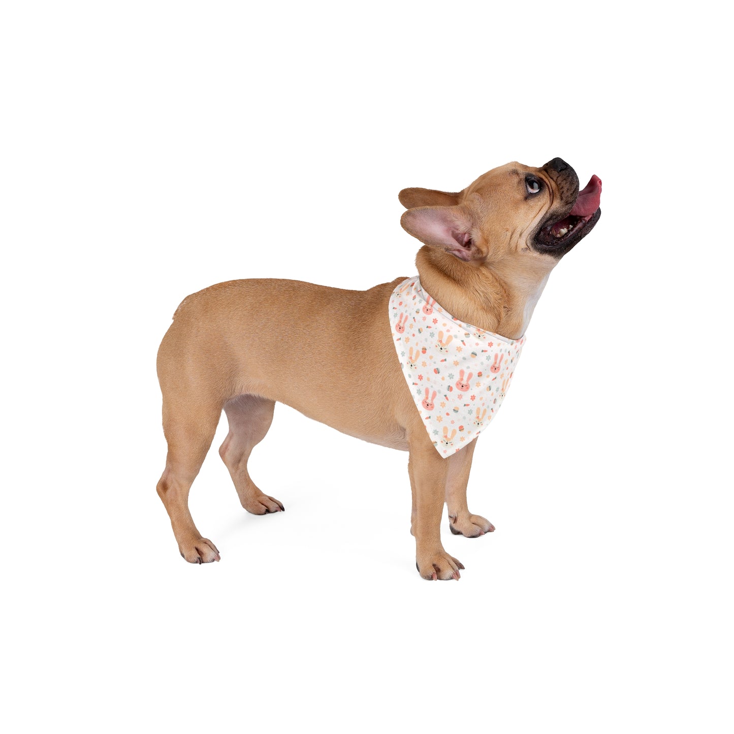 Easter Pet Bandana