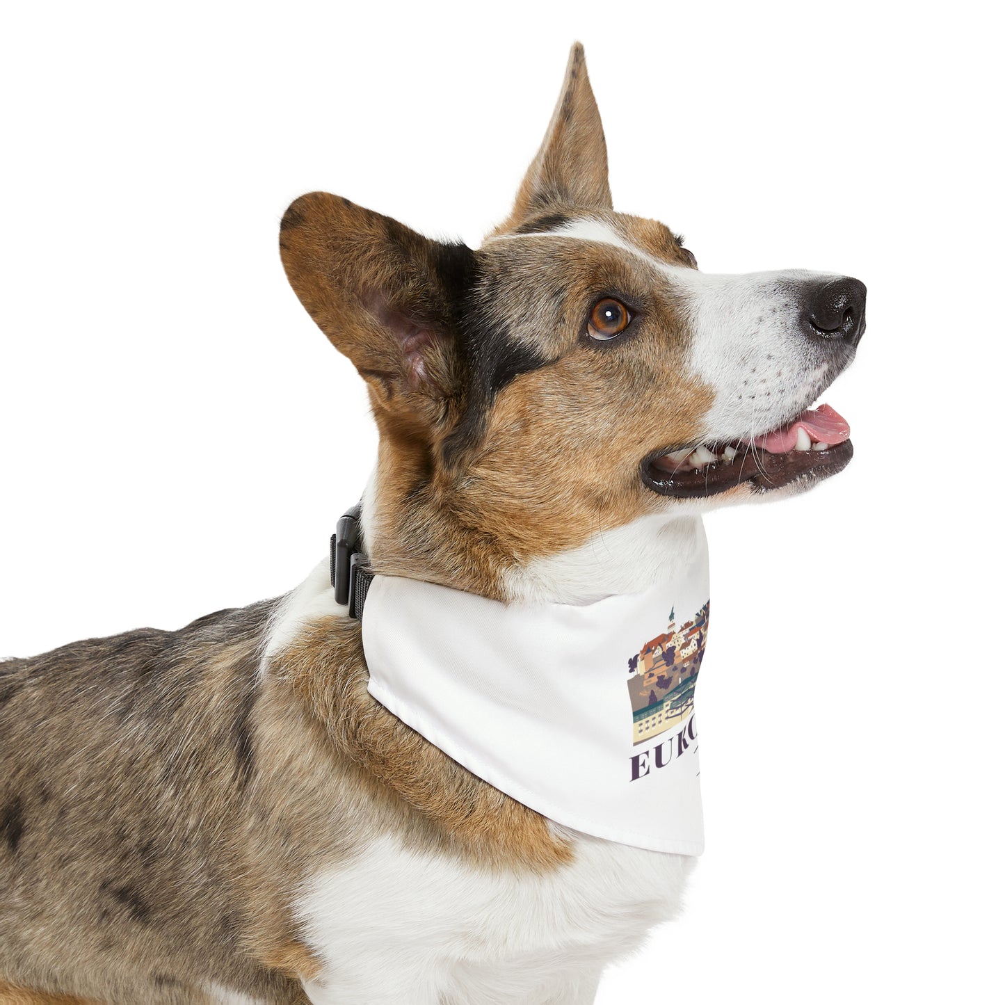 EUROPEE'N - Pet Bandana Collar