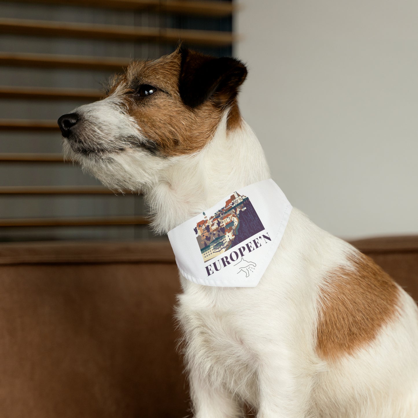 EUROPEE'N - Pet Bandana Collar