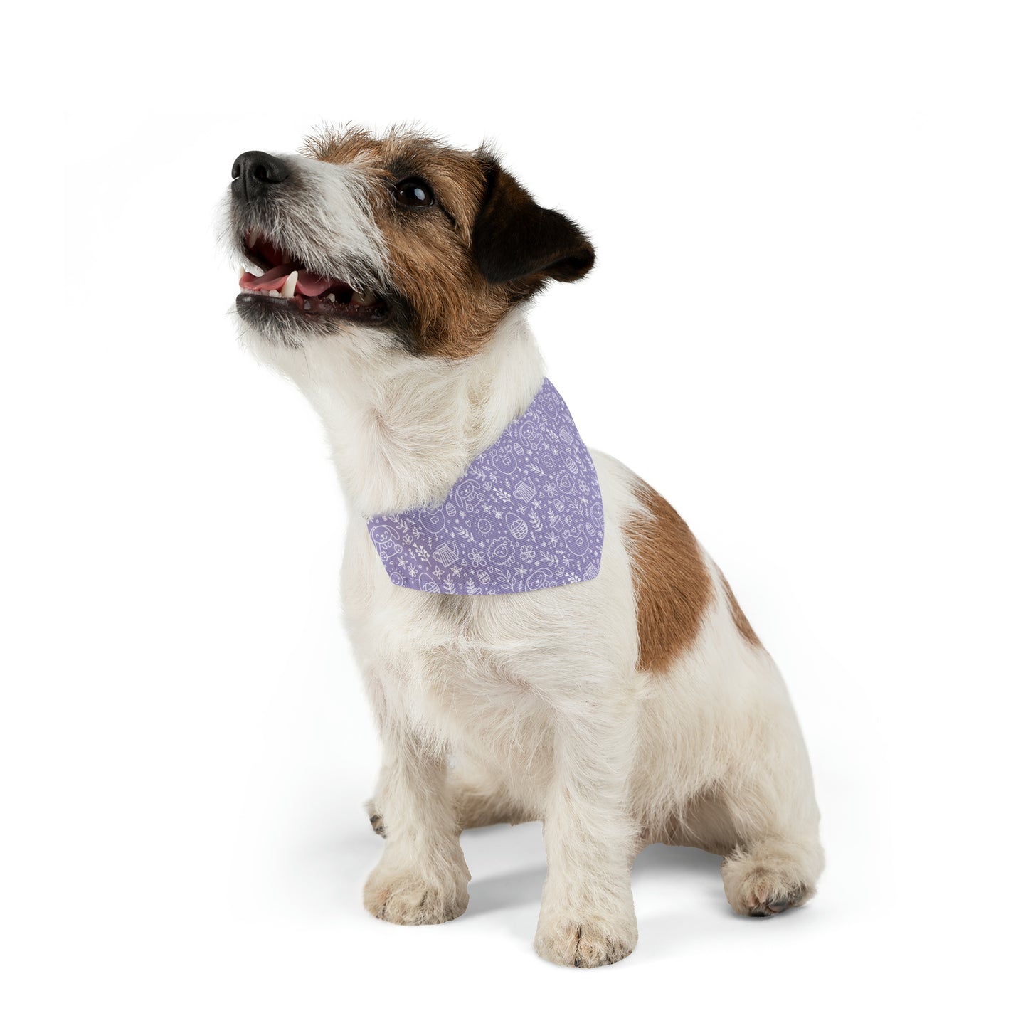 Lilac Easter - Pet Bandana Collar