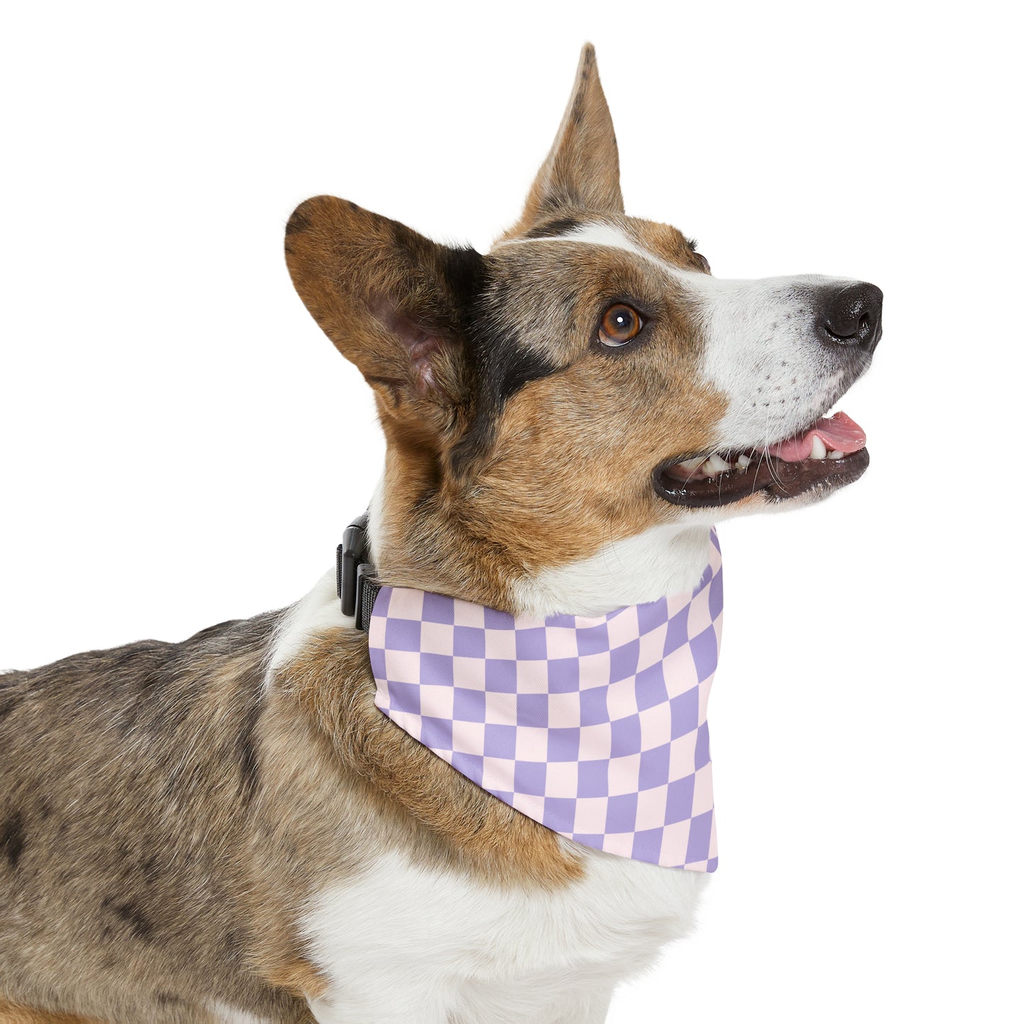 Purple Haze - Pet Bandana Collar