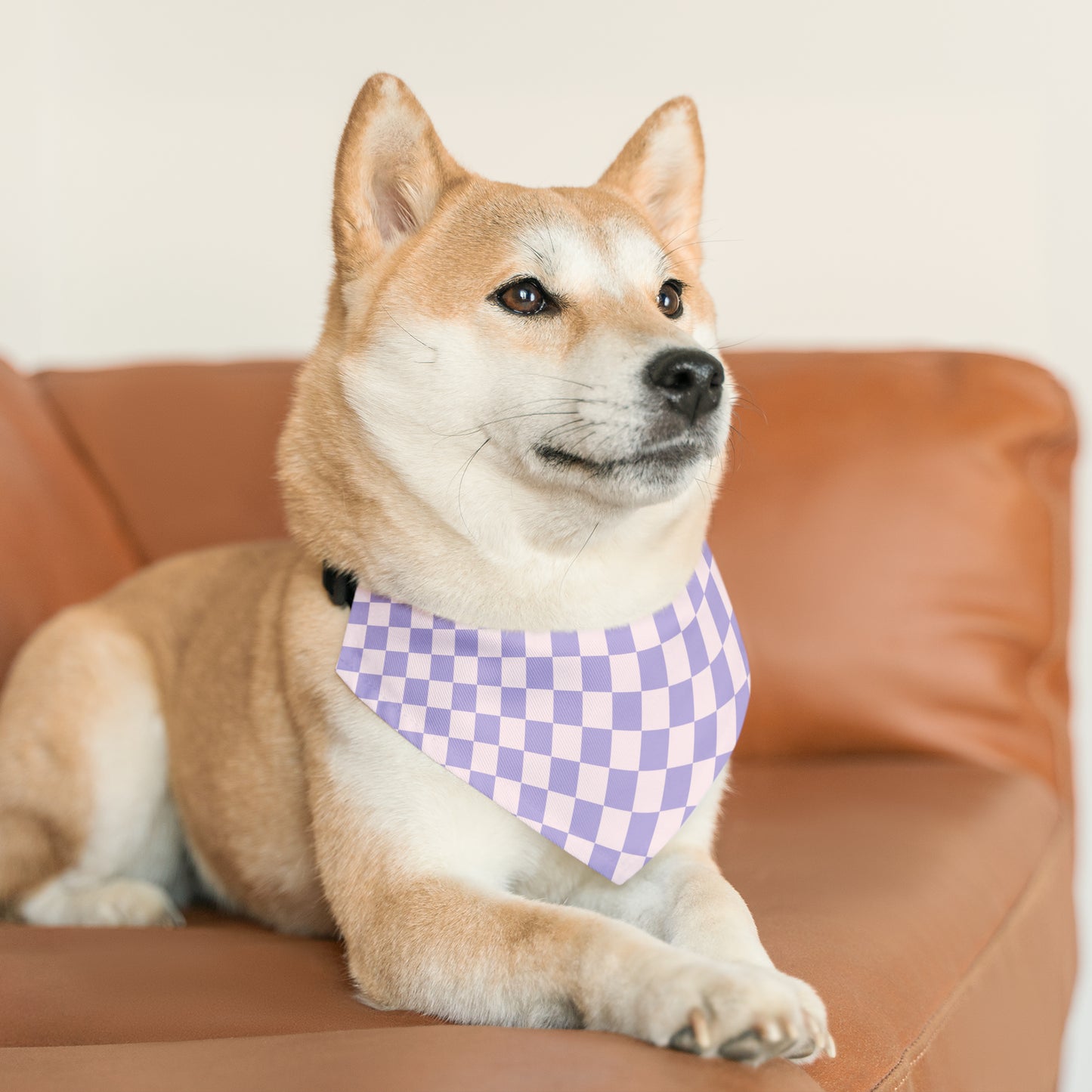 Purple Haze - Pet Bandana Collar