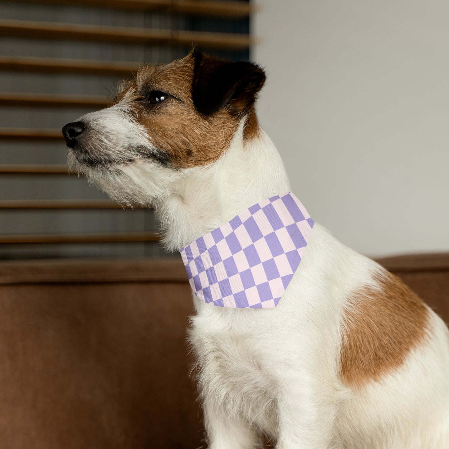 Purple Haze - Pet Bandana Collar