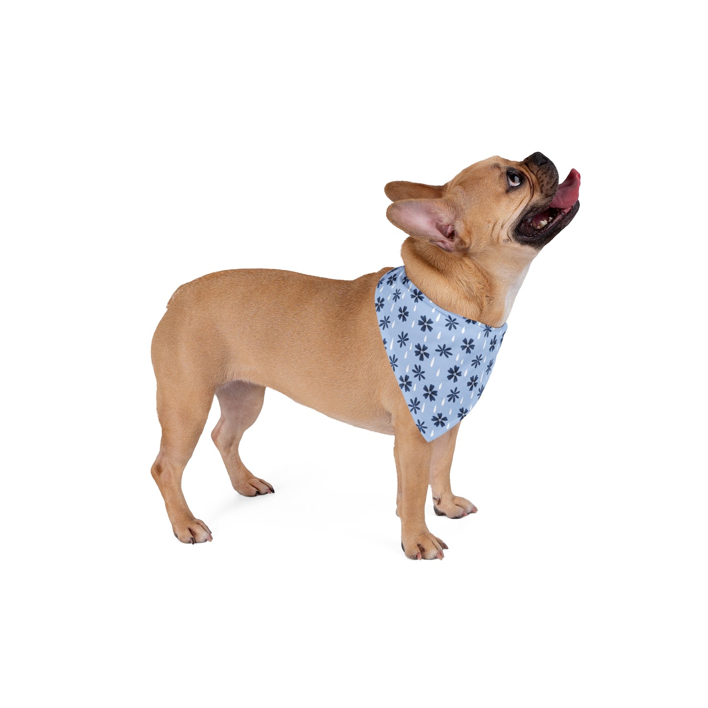 Blue Flower Drops - Pet Bandana